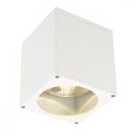 SLV Big Theo Ceiling Spot Aluminium White | Outdoor - IP44 - Suitable for 1x GU10 Max. 75W - Dimmable