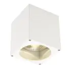SLV Big Theo Ceiling Spot Aluminium White | Outdoor - IP44 - Suitable for 1x GU10 Max. 75W - Dimmable