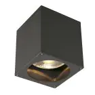 SLV Big Theo Ceiling Spot Aluminium Anthracite | Outdoor - IP44 - Suitable for 1x GU10 Max. 75W - Dimmable